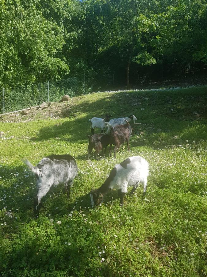 Agriturismo Scannaporco Cavriana エクステリア 写真