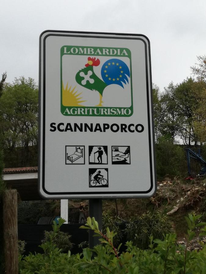 Agriturismo Scannaporco Cavriana エクステリア 写真